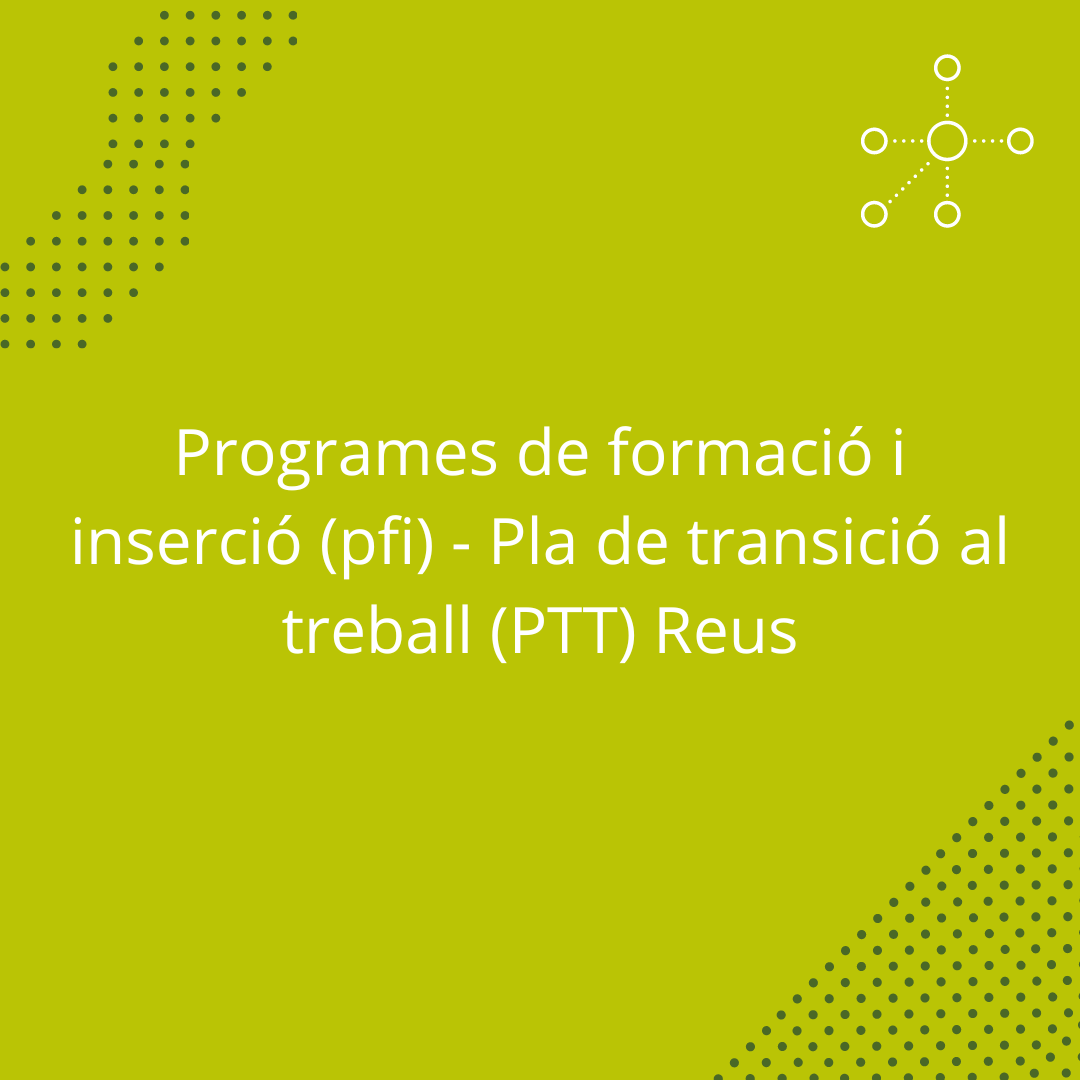 Programes de formació i inserció (pfi) - Pla de transició al treball (PTT) Reus