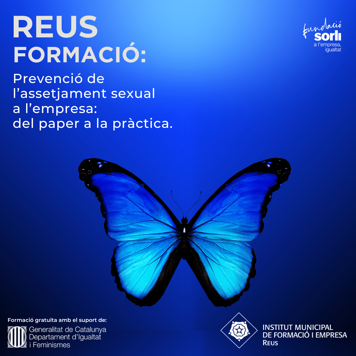 Cartell de la sessió
