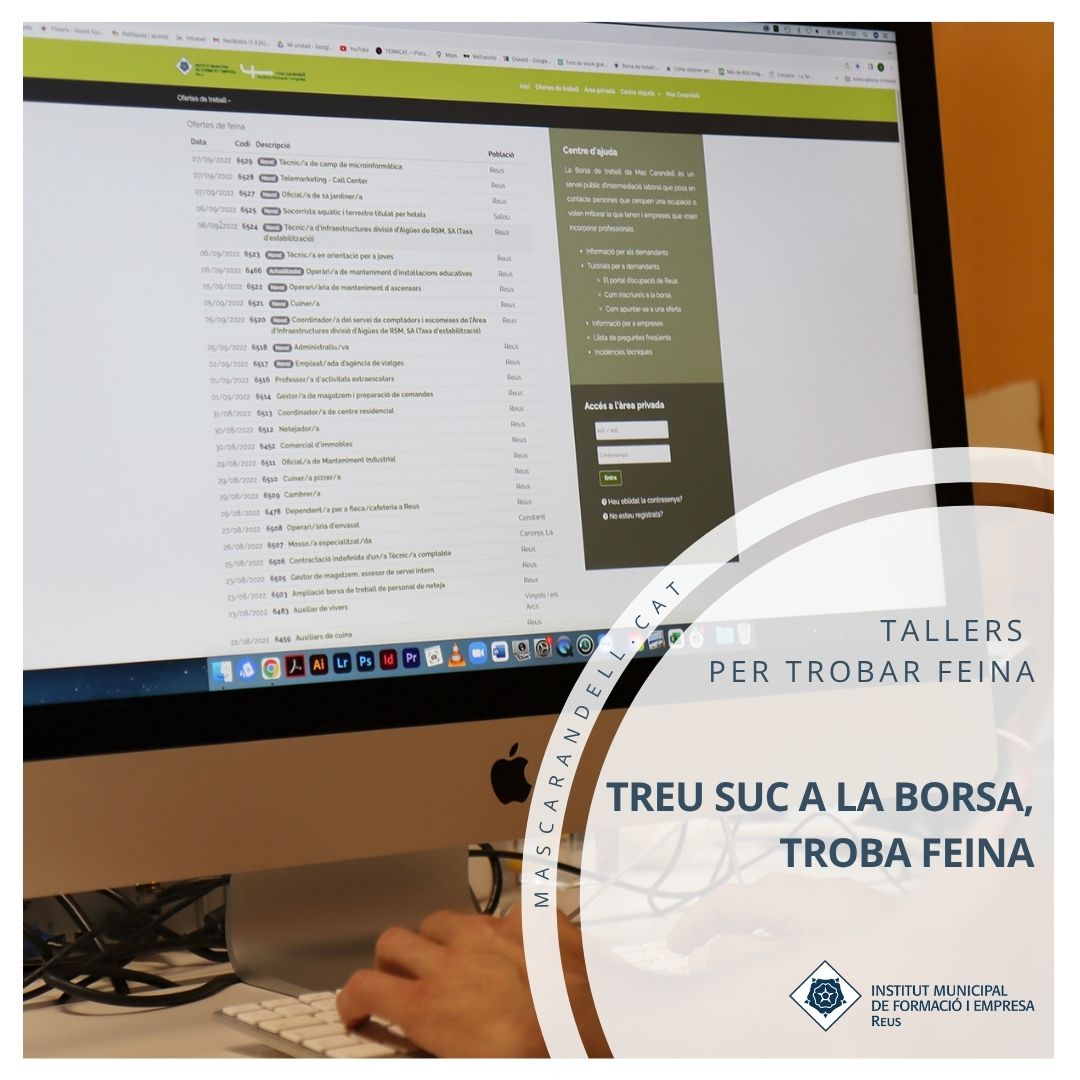 Imatge coberta de Tallers per trobar feina: Treu suc a la borsa, troba feina