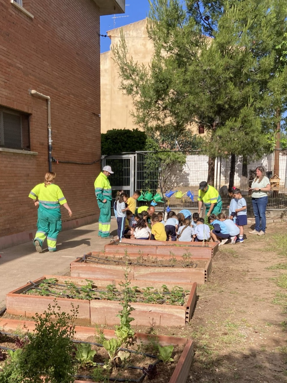 Imatge de la noticia : Experiència laboral i r...