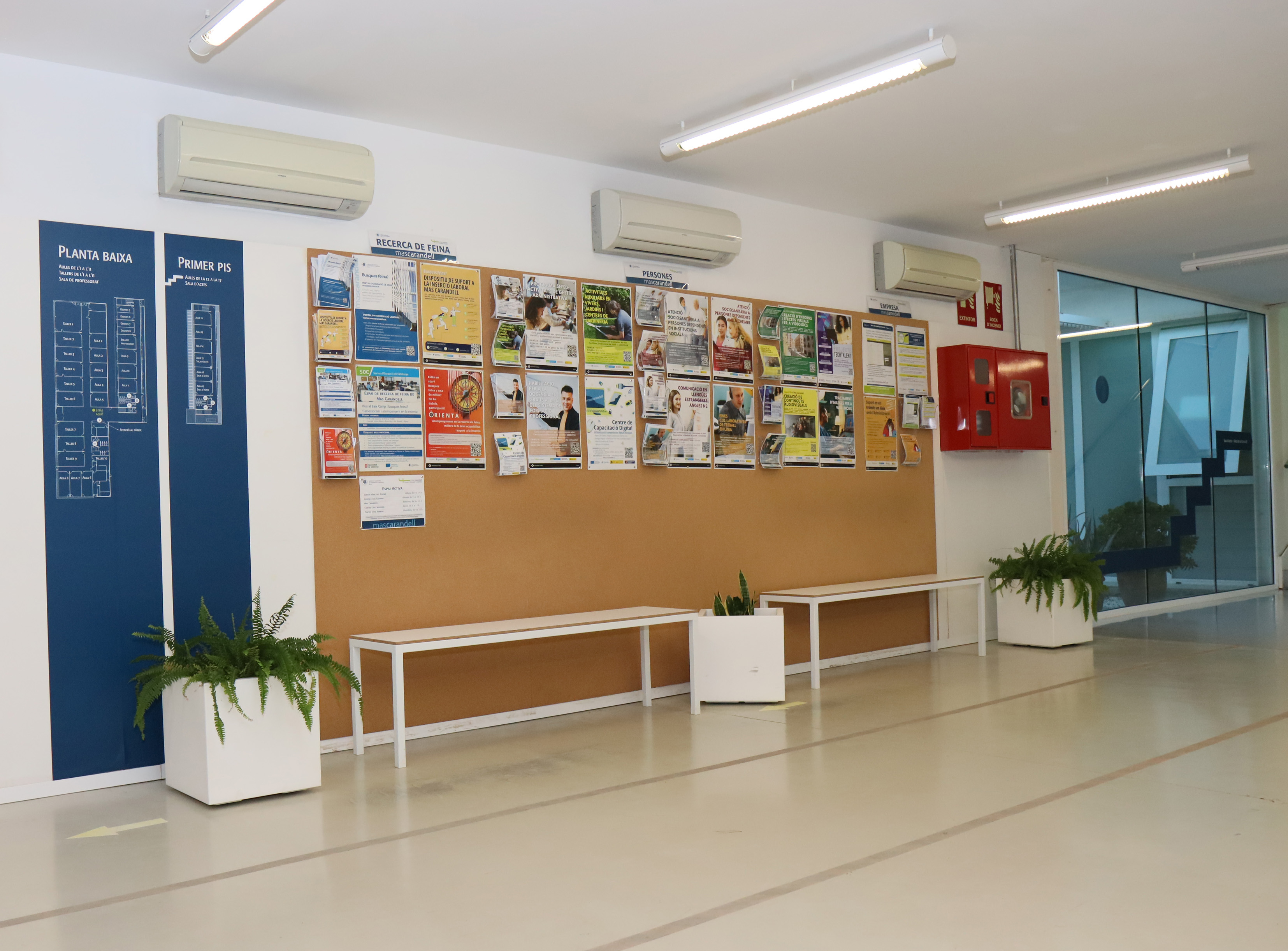 cartellera informativa de l'aulari